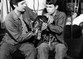 Gwen Farrell Adair, M*A*S*H