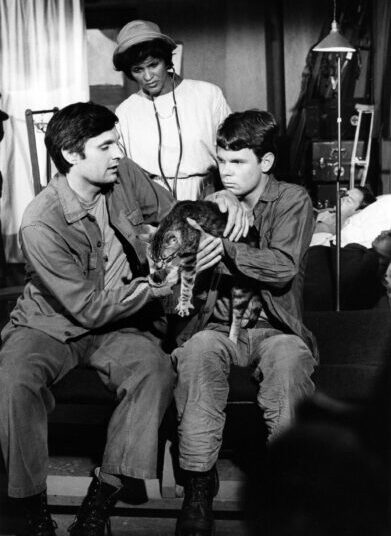 Gwen Farrell Adair, M*A*S*H