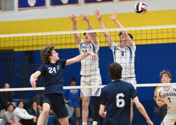 Valley View’s Antonio Farina and Jagger Roe try to block...