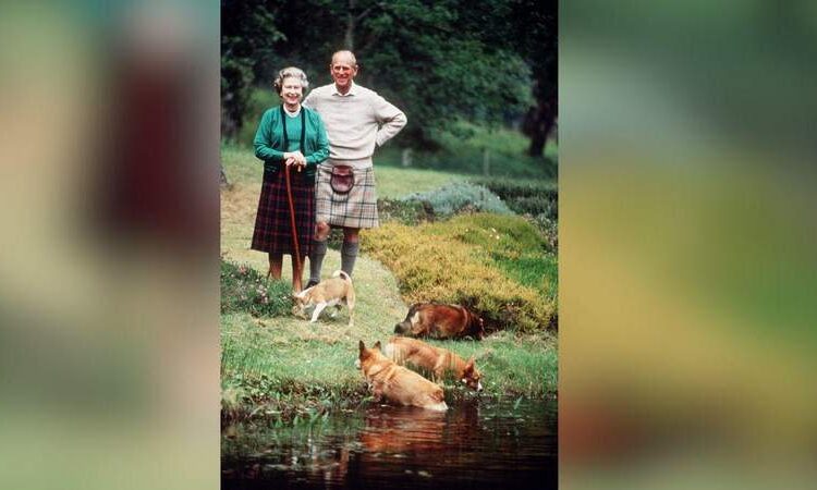 How the British royal family started owning a menagerie of exotic pets like Michael Jackson.MEGA