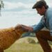 Hugh Jackman stars in Kyle Balda's 'Sheep Detectives'