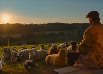 A photo still from 'The Sheep Detectives' / Courtesy of Amazon MGM Studios / Courtesy of Amazon MGM Studios