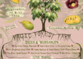 Inaugural New York Pawpaw Festival Features More Than Music