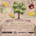 Inaugural New York Pawpaw Festival Features More Than Music