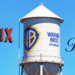 Incipient Monopolization in Digital Streaming: Judicial Oversight of Contemporary Entertainment Consolidation — Columbia Undergraduate Law Review