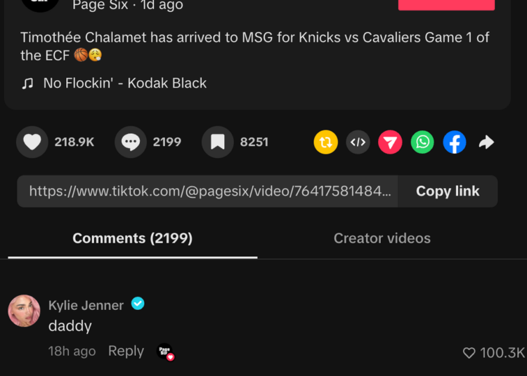 Kylie Jenner's comment on Page Six's post.