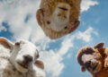 Cloud (voiced by Regina Hall, left), Mopple (Chris O'Dowd) and Lily (Julia Louis-Dreyfus) are some of the four-legged stars of "The Sheep Detectives."