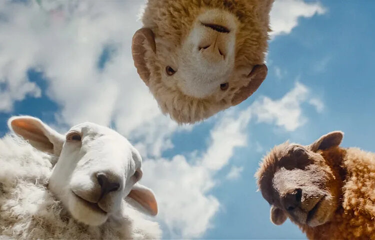 Cloud (voiced by Regina Hall, left), Mopple (Chris O'Dowd) and Lily (Julia Louis-Dreyfus) are some of the four-legged stars of "The Sheep Detectives."