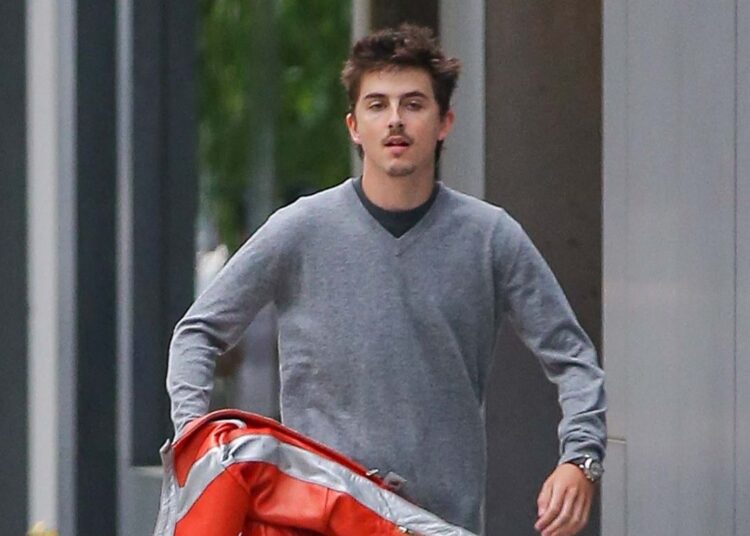 Is Timothée Chalamet to the Knicks what Drake is to the Raptors?