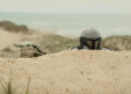 Film Review - The Mandalorian and Grogu