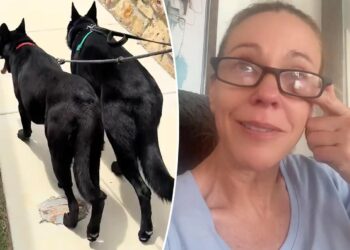 Kate Gosselin breaks down over 'strain' of adopting rescue dog in tearful TikTok
