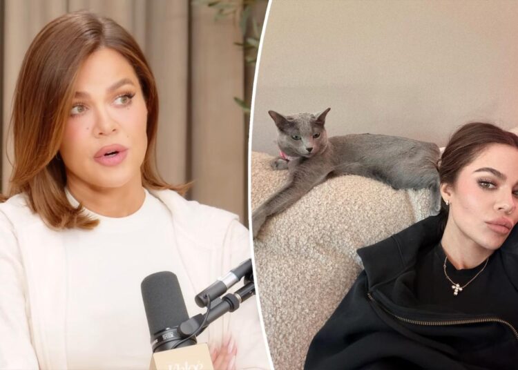 Khloé Kardashian confesses her cats underwent widely-banned surgery
