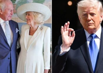 King Charles 'negotiated a minefield' during Donald Trump meeting - Celebrity News - Entertainment