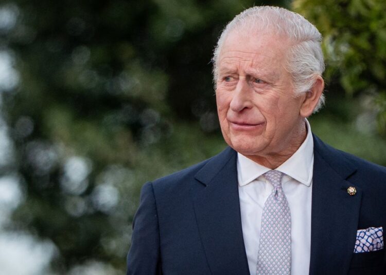 King Charles' royal carriage horses take spotlight ahead of State Opening of Parliament