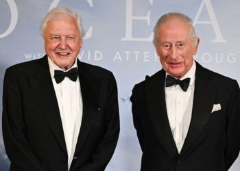 King Charles sends sweet 6-word message to David Attenborough | Royal | News