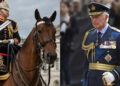 King Charles ‘shocked and saddened’ as soldier dies after falling from horse at Royal Windsor Horse Show