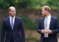 King Charles’s new aide hopes to ‘knock William and Harry’s heads together’ | Royal | News