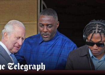 King joins Idris on the turntable at Palace garden party