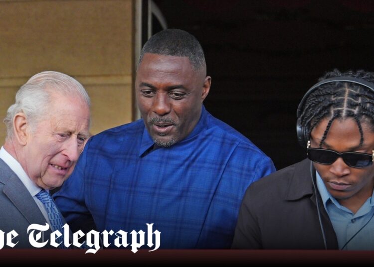 King joins Idris on the turntable at Palace garden party