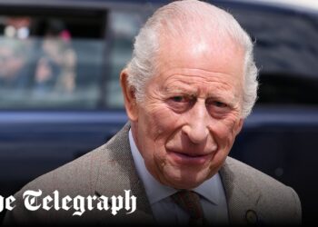 King shocked after soldier dies falling from horse at Royal Windsor Show