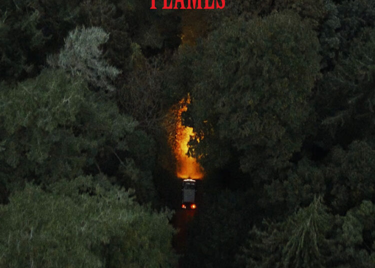 La Roux Old Flames