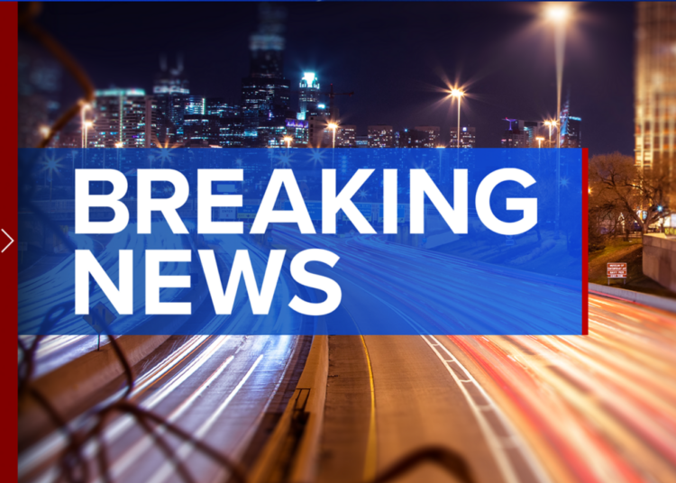 MLB news: Fan falls into visiting bullpen during Kansas City Royals-White Sox baseball game at Rate Field in Chicago