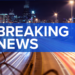 MLB news: Fan falls into visiting bullpen during Kansas City Royals-White Sox baseball game at Rate Field in Chicago