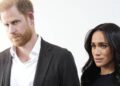 Meghan and Harry 'weighed down' by 'trap' before Netflix war film - Celebrity News - Entertainment