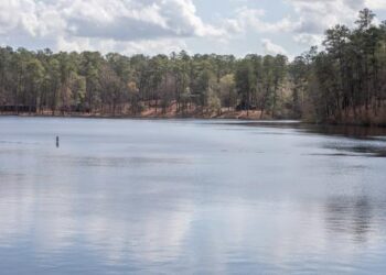 Mississippi state parks celebrating America 250 with fireworks, music and more
