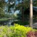 Visit Mercer Botanic Gardens in Humble for a free Tai Chi class. (Courtesy Friends of Mercer Botanic Gardens)