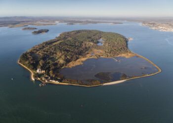 Music, walks and wildlife tours among events at Dorset beauty spot