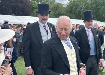 NHS staff from Black Country attend Royal Garden Party