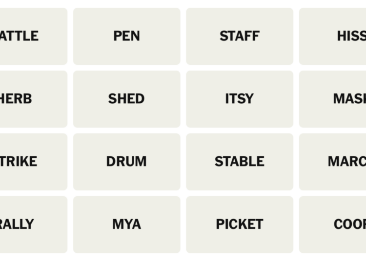 NYT Connections board for May 24, 2026: RATTLE, PEN, STAFF, HISS, HERB, SHED, ITSY, MASK, STRIKE, DRUM, STABLE, MARCH, RALLY, MYA, PICKET, COOP.