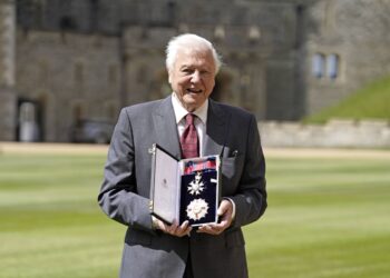 File photo dated 08/06/22 of Sir David Attenborough after being appointed a Knight Grand Cross of the Order of St Michael and St George following an investiture ceremony at Windsor Castle. Sir David Attenborough has got to have "one of the greatest legacies of any human being ever", a BBC executive has said. Issue date: Thursday May 8, 2025.