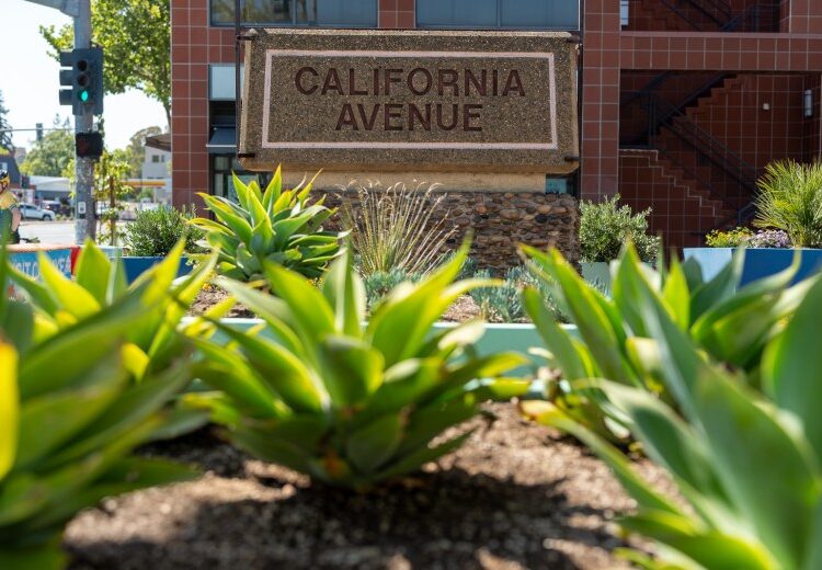New free live music series coming to Cal Ave
