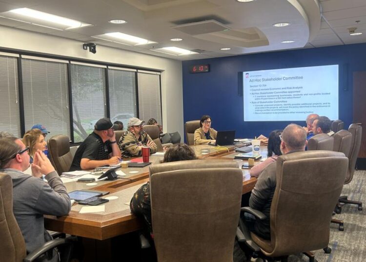 Norman City Council discusses proposed TIF, budget | News