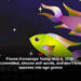 Pisces Horoscope Today, May 4, 2026: If you’re committed, choose soft words, and don’t bring money success into ego games
