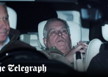 Police down to last roll of the dice in Andrew investigation