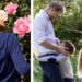 Prince Archie celebrates seventh birthday today and here are 7 photos | Royal | News