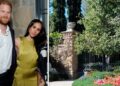Prince Harry and Meghan Markle branded 'laughing stock' - Celebrity News - Entertainment