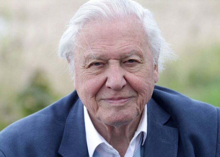 Prince Harry calls Sir David Attenborough a 'secular saint' | Royal | News