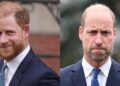 Prince Harry gets postive update on royal role despite William's objection
