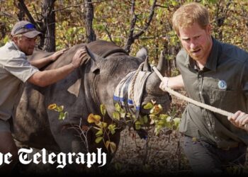 Prince Harry urged to resign from African charity accused of ‘rape and torture’