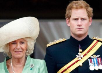 Prince Harry's cruel swipe at Queen Camilla with two-word nickname | Royal | News