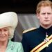 Prince Harry's cruel swipe at Queen Camilla with two-word nickname | Royal | News