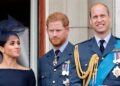 Prince Harry’s frosty relationship with Prince William ‘doomed’ years | Royal | News