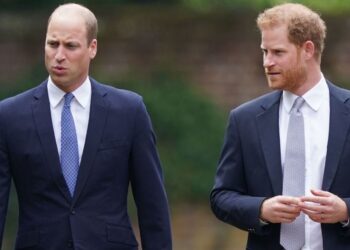 Prince William Warns Prince Harry Against 'Taking Swipes' — Source