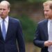 Prince William Warns Prince Harry Against 'Taking Swipes' — Source