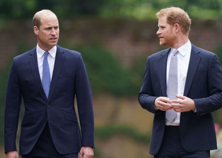 Prince William and Harry were 'doomed' from the beginning - Celebrity News - Entertainment