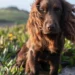 The couple announced Otto's 1st birthday (X/@KensingtonRoyal)
